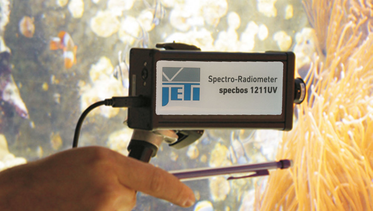 specbos 1211-UV-2: UV measurement in an aquarium