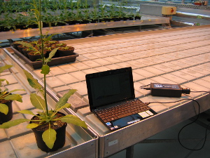 Application of specbos 1211 in a greenhouse
